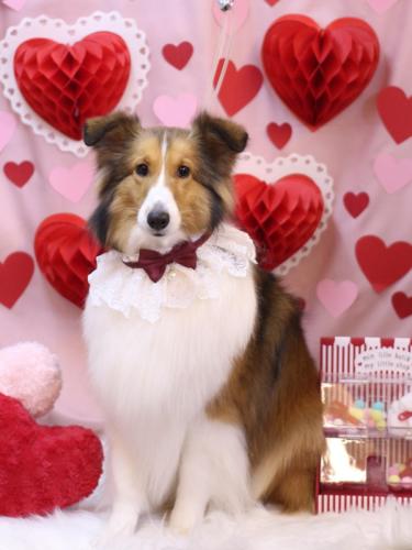 20240209ティーラちゃん